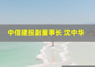 中信建投副董事长 沈中华